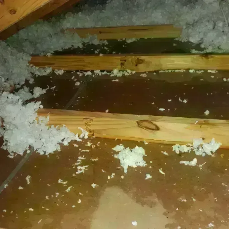 Attic Water Damage in Douglas County, KS