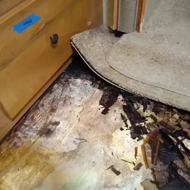 Wood Floor Water Damage in Douglas County, KS